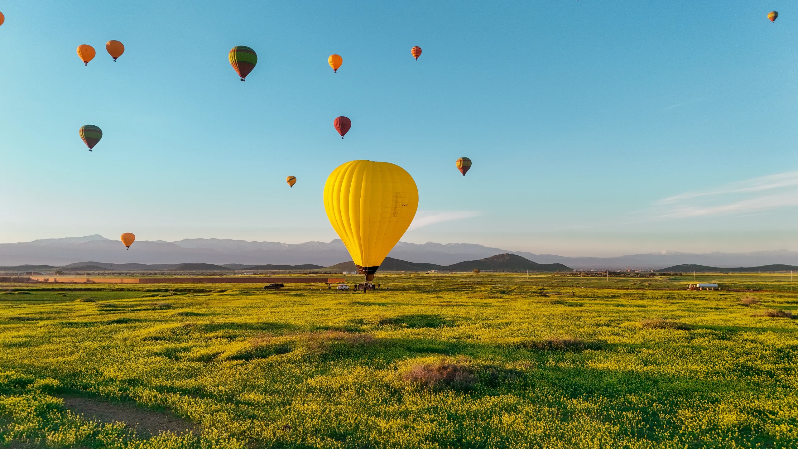Multiple hot air balloons over yellow fields near Marrakech with Atlas Mountains in the background