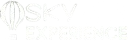 skyexp logo preview